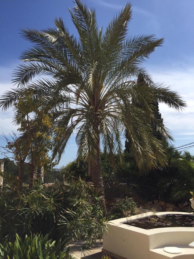 Villa Luxury For 16 People With Seaview, Pool And Bbq