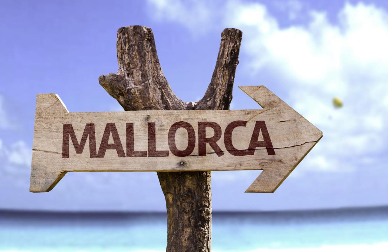 Luxury For 16 People With Seaview, Pool And Bbq * Palma